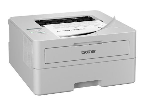 HL-L2865 DW